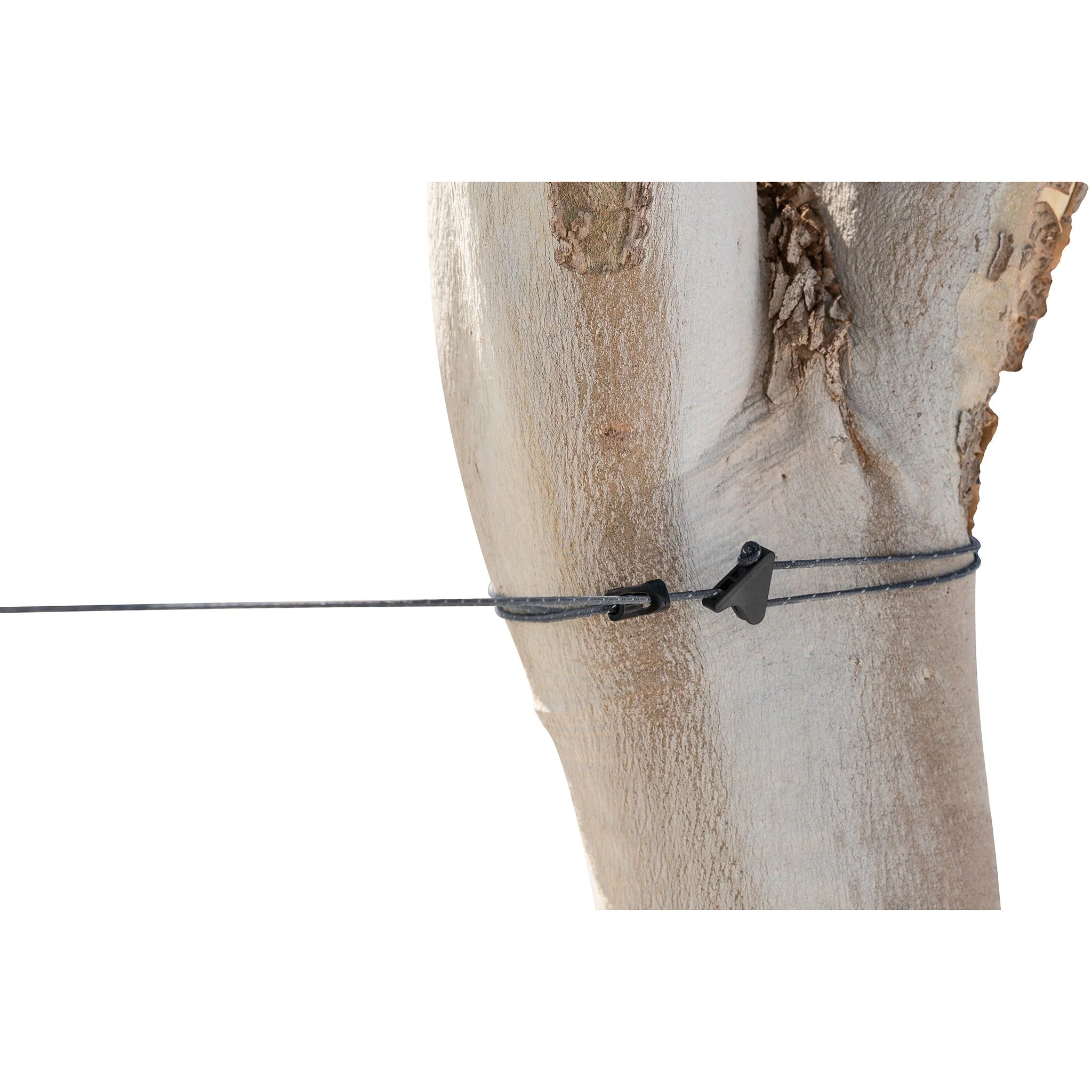 The Clothesline - Image 4